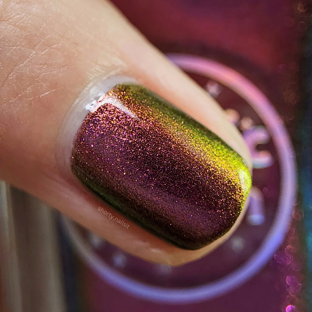 Fantasies in Fuchsia - Image 6