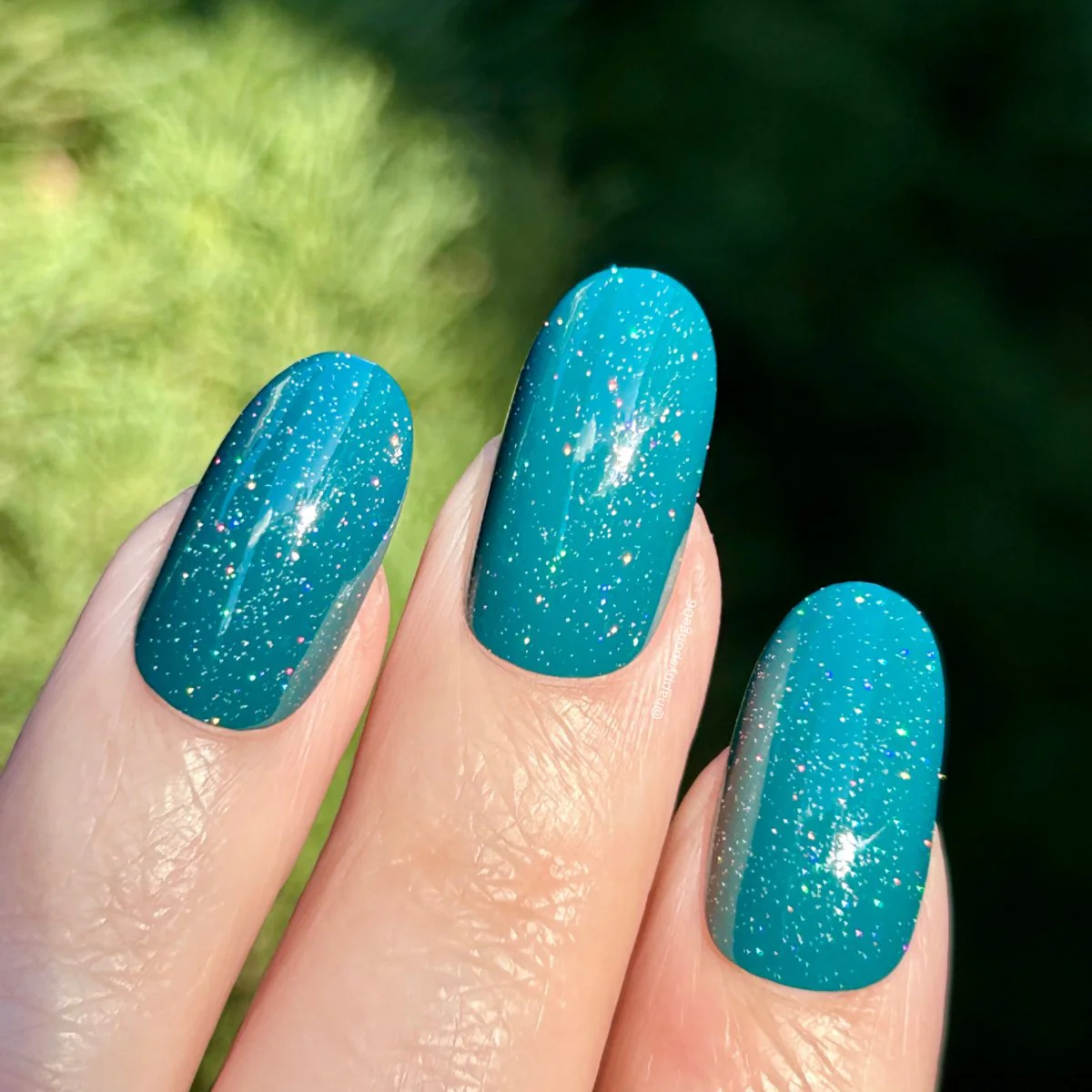 Scattered Starlight - Image 12