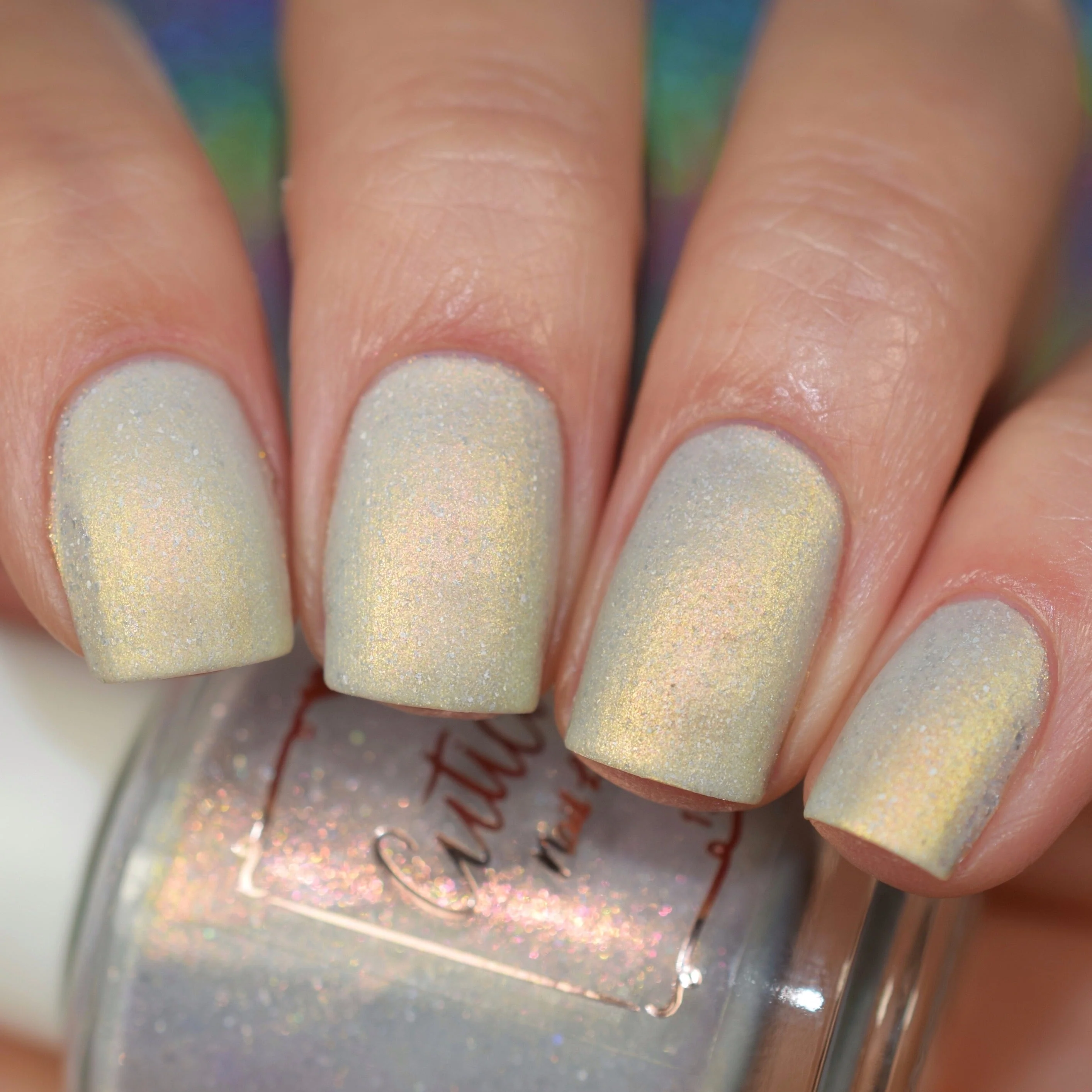Snow Globe - Image 11