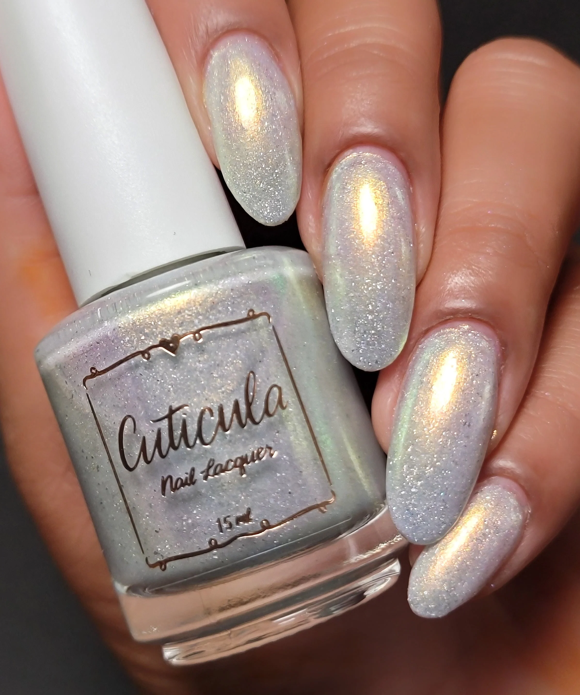 Snow Globe - Image 7