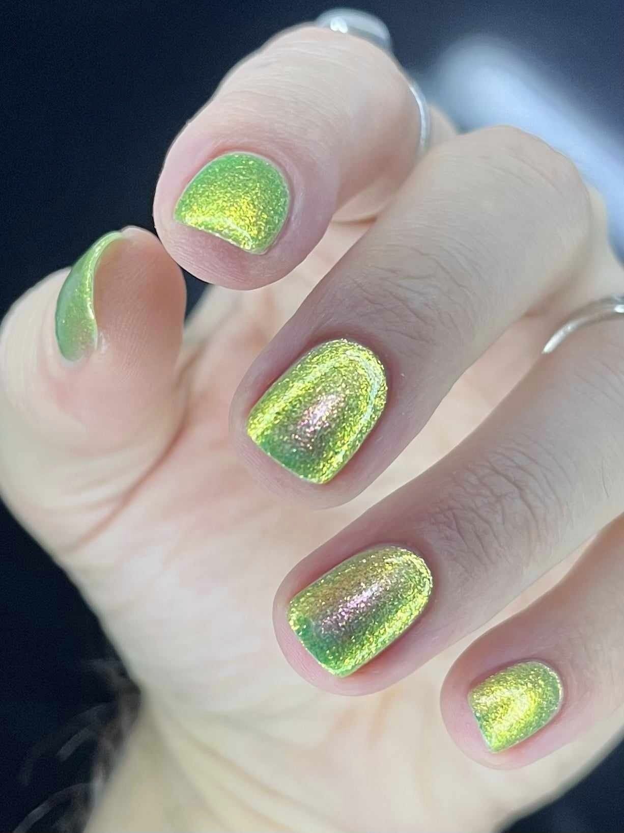 Sugar Melon - Image 10