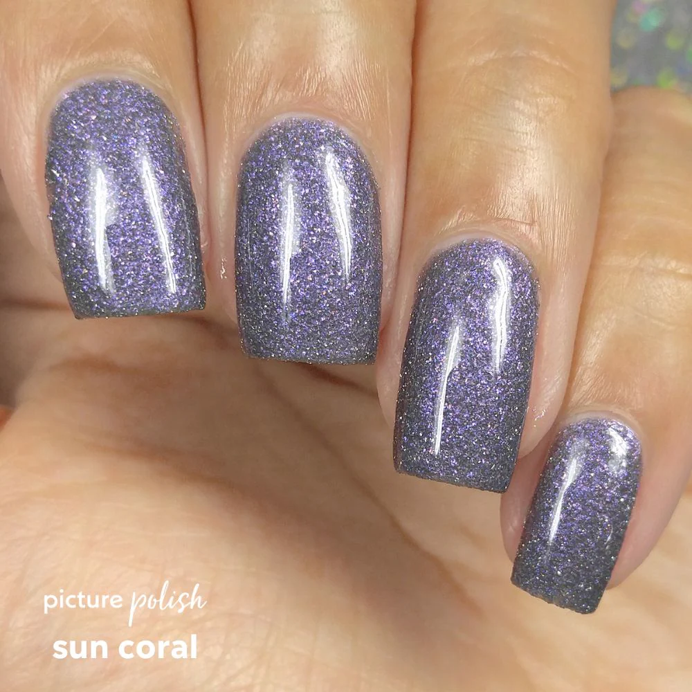 LAST CHANCE! Sun Coral - Image 10