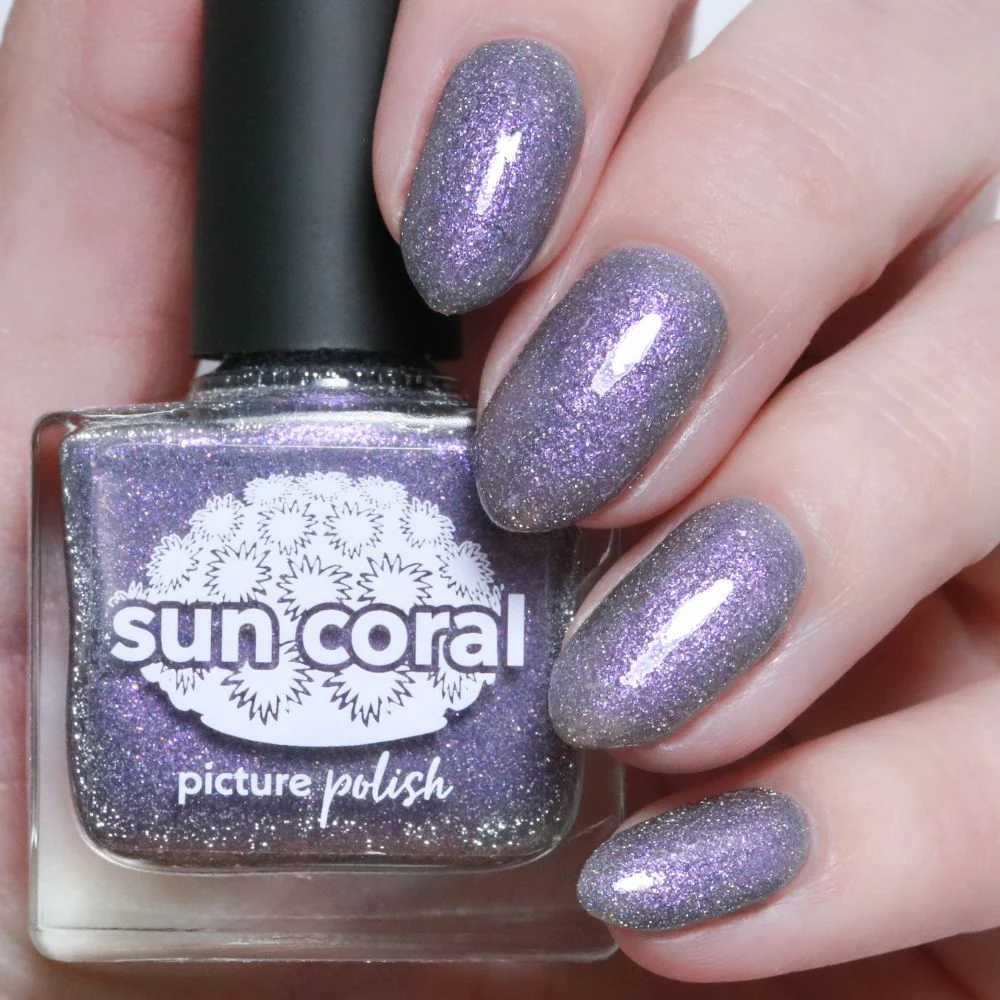 LAST CHANCE! Sun Coral - Image 3