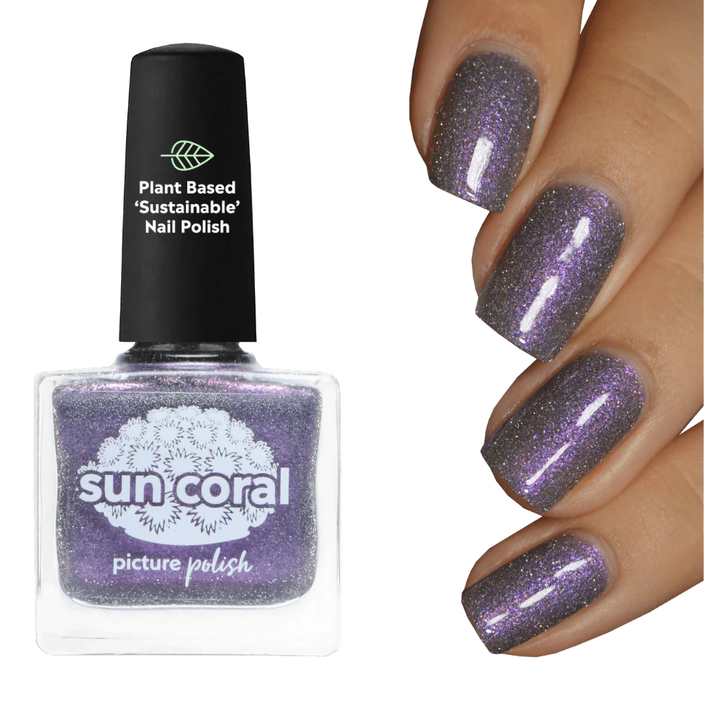 LAST CHANCE! Sun Coral - Image 6
