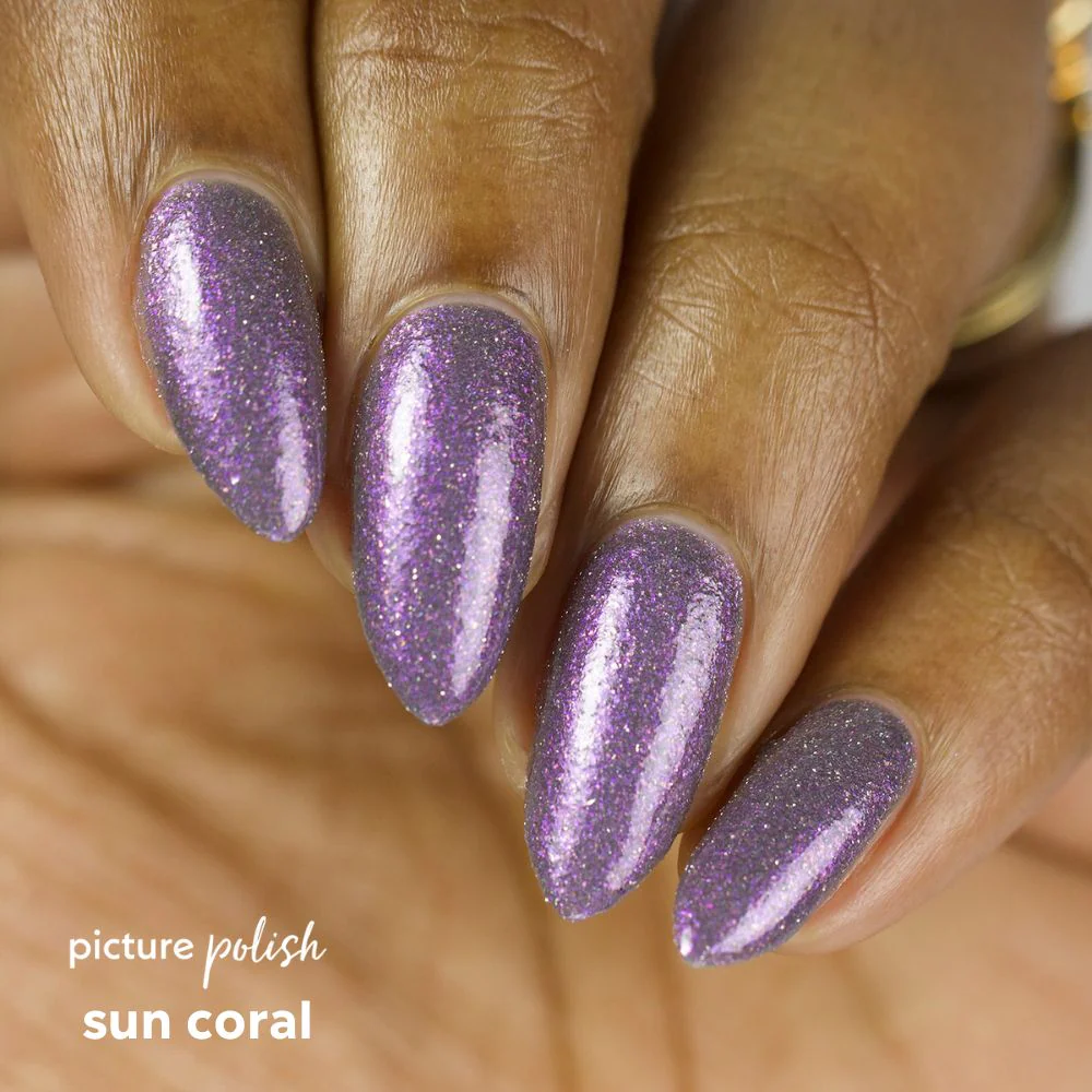 LAST CHANCE! Sun Coral - Image 7
