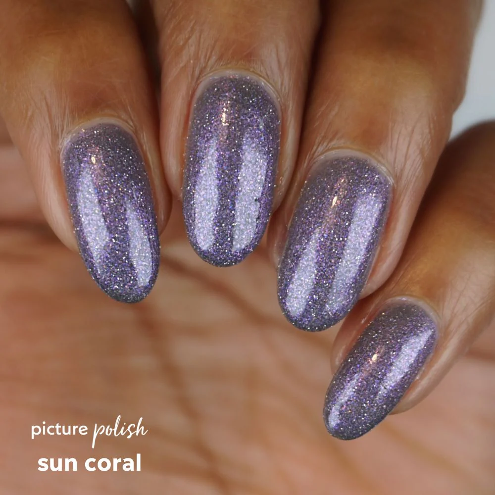 LAST CHANCE! Sun Coral - Image 9